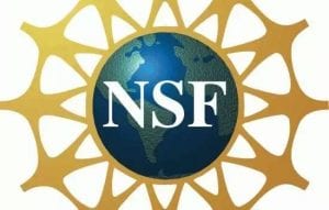 High standard requirement: NSF International