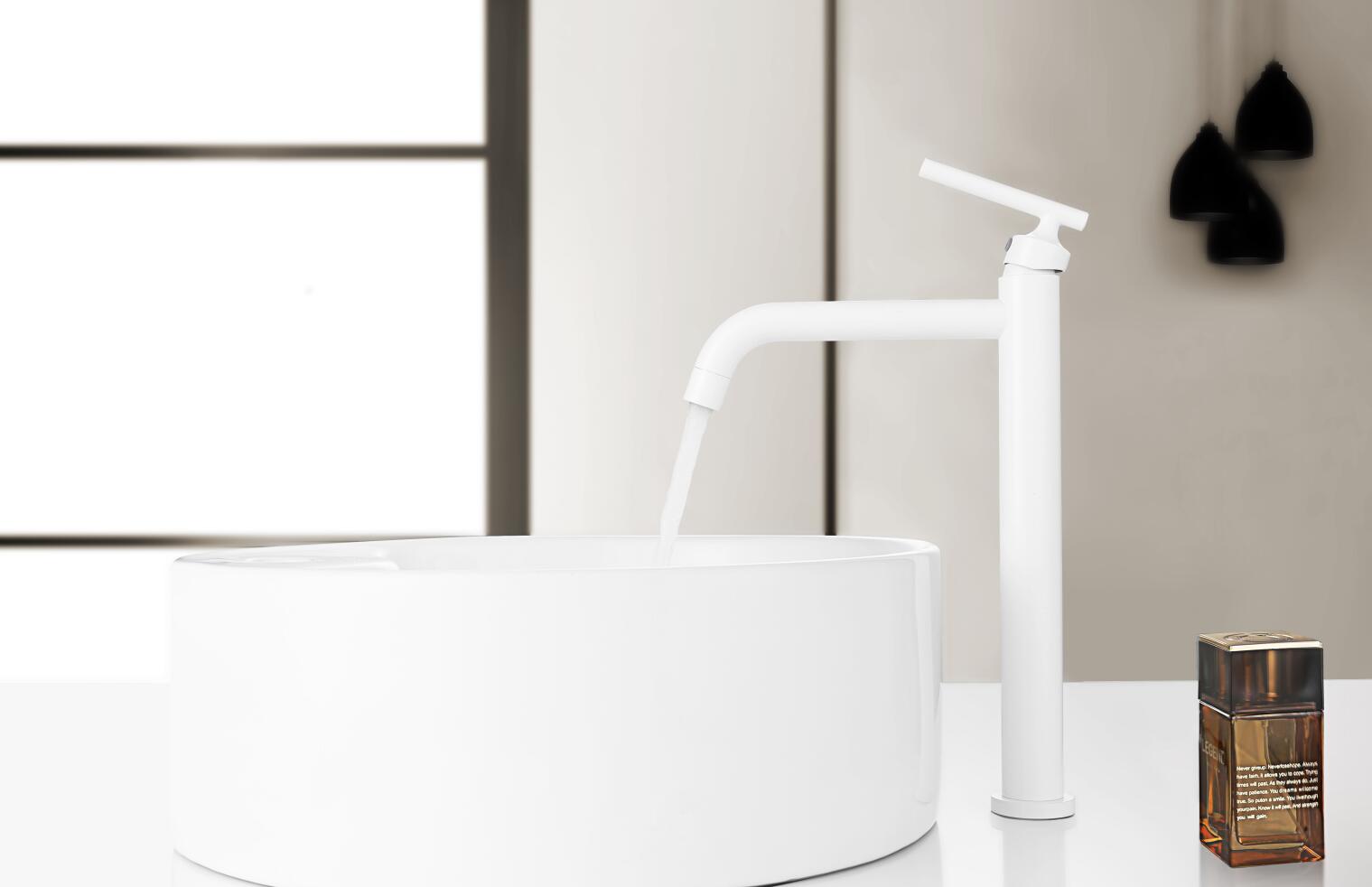 A normal faucet and a pull-out faucet, which you think is the most suitable for you?